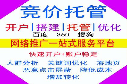 SEM推广公司案例：打造行业领军品牌