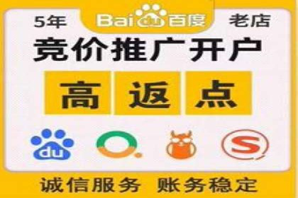 SEM运营公司案例研究：提升转化率