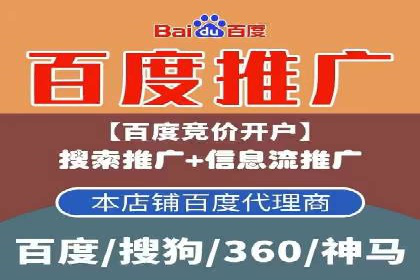 百度品牌专区推广的成效与案例